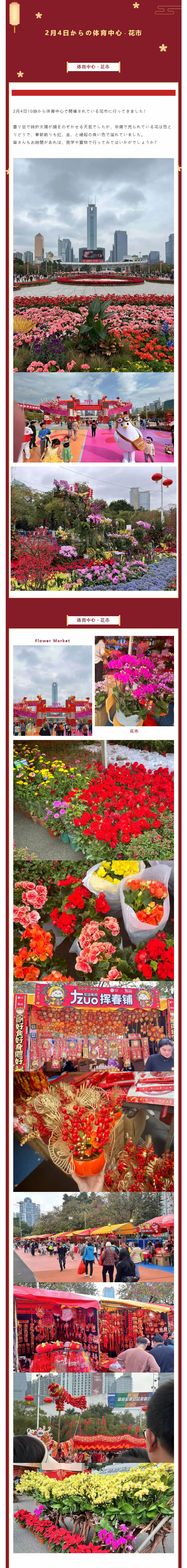 2月4日からの体育中心・花市